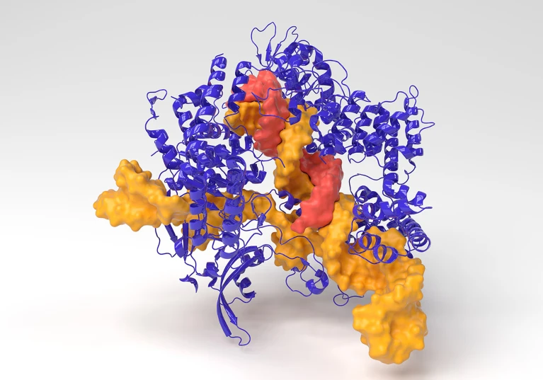 Image of GPT for CRISPR new gene- editing tools